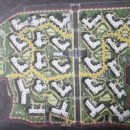 대조-008 이미지