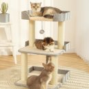 베베캣 고양이 이미지