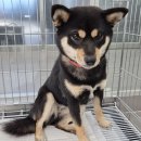 영주시이산면보건지소 이미지