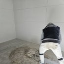 데이지호텔 이미지