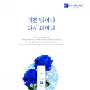 바이어간츠코리아 이미지