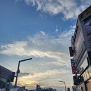 군자대한곱창 구미인동진평점 | ⭐️군자대한곱창 구미인동진평점⭐️화사곱창으로 유명한 내 돈 내산