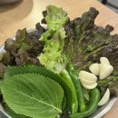 구미고기맛집 아빠의청춘 특제 양념으로 숙성한 고두갈봉