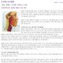 캥거루방방놀이터