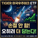 TIGER 미국우주테크 -28% 물렸습니다, 주가 하락 이유 파헤치고 투자 방향 정했습니다
