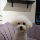 명지스타시티약국 이미지