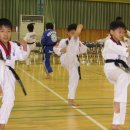 박창용 태권도 이미지