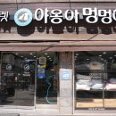 야옹아 멍멍해봐 이미지