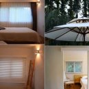 나무의꿈 이미지