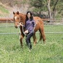 연천승마공원 이미지