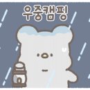 다옴 캠핑장 이미지