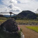 한탄강 y출렁다리, 비둘기낭폭포, 하늘다리 이미지