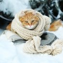 (주)제이오 이미지