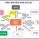 대부태양광발전소 이미지