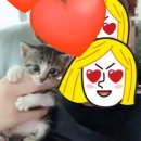 두빵 이미지