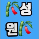 비앤디 이미지