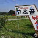 고초골 이미지