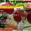 9월3일 장수 한우랑,사과랑 축제 선착순 20명모집 이미지