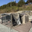 작은캠프 엔 하우스 | 로티캠프 힐하우스 원터치 텐트 사용법 및 확장형 전실 사용후기