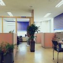 임익상 행정사 사무소 이미지