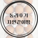 자연같이 팜 이미지