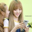 지빠 Daum카페