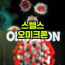 스텔스 오미크론 변이 1~2주 안에 유행 정점 올 것? 오미크론보다 전파력 더 강해.. 증상은?