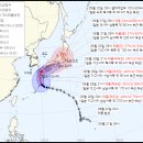 태풍 5호마리아 태풍 6호손띤 태풍7호 암필 태풍8호 우탕 이미지