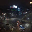 포포인츠바이쉐라톤서울강남 이미지