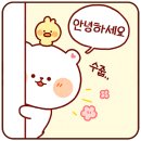 묵호항 | 추석연휴 동해 묵호항 &amp; 삼척 활기 자연휴양림 방문후기 1편