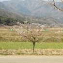 성곡친환경정보화마을