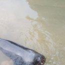 축복운송