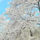 솔밭야영장 이미지