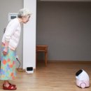 컴패니언 이미지