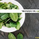 최강푸드 이미지