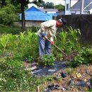 지율농장 이미지