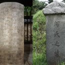 ▣ 33. 남추강배사유오(南秋江配事有誤) -왜 서애 선생이 바로잡아야 했는가?- 이미지