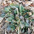 나무와 친해지기 이미지