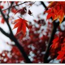 옥산목욕탕 이미지