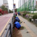 꽃길로 이미지