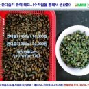 자연산다슬기 이미지