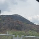 쉼터포장마차 이미지