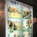 우돈본가