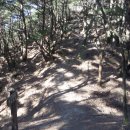 기내미재 이미지