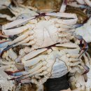 풍년수산 이미지