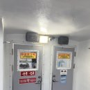 오천항 | 보령 4월 봄 알쭈꾸미 오천항 꽃돼지호 내돈내산 출조 후기