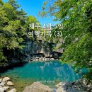 드림PC | [제주] 2023 5월 제주여행 4박 5일 기록 ❸