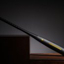 블랙배트 이미지