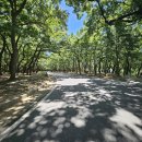 씨름장 화장실 이미지