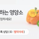별이네쇼핑 이미지